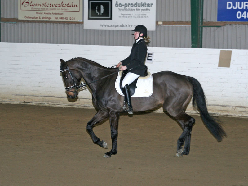 20080406_120040 Angelica Bjerle Tracey